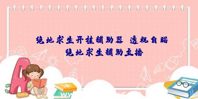 「绝地求生开挂辅助器-透视自瞄」|绝地求生辅助主播